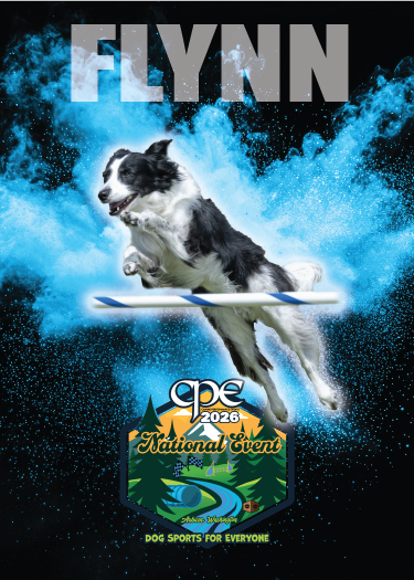 CPE 2026 POWDER TRADING CARDS