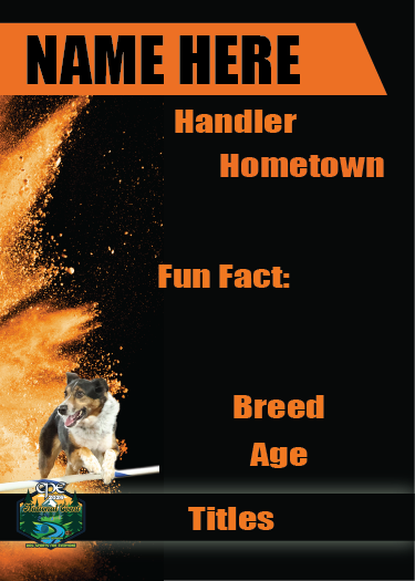 CPE 2026 POWDER TRADING CARDS