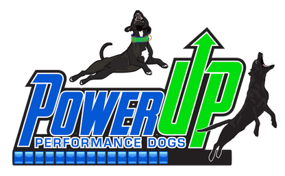 POWER UP -  T-Shirts & More!