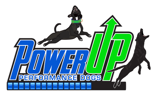POWER UP -  T-Shirts & More!