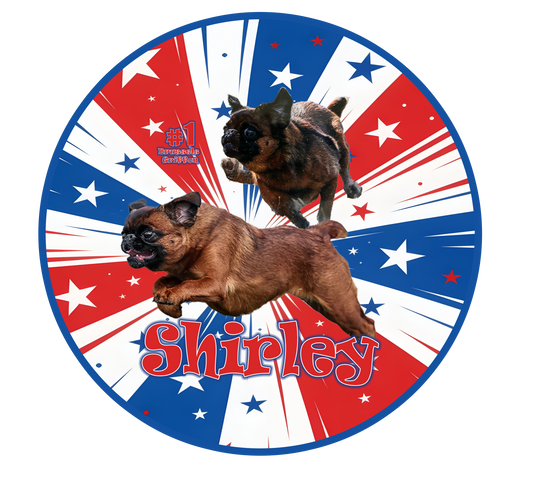 SHIRLEY 2026 - Stickers & More!