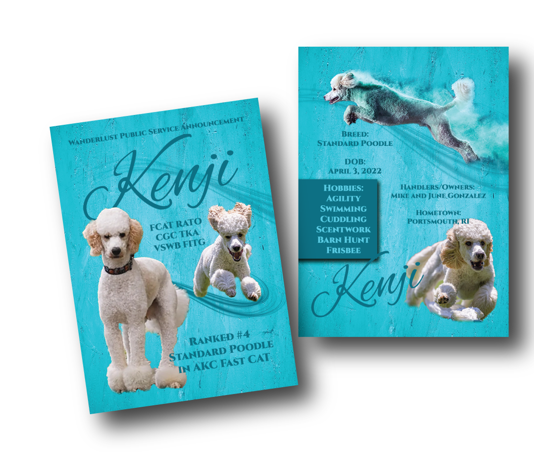 **CUSTOM TRADING CARDS**
