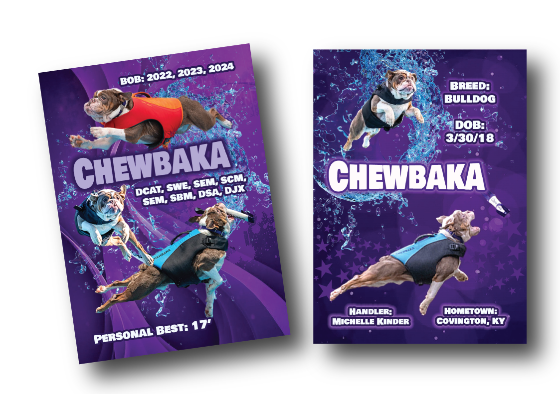 **CUSTOM TRADING CARDS**