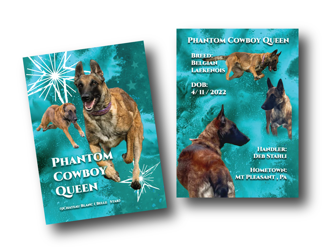 **CUSTOM TRADING CARDS**