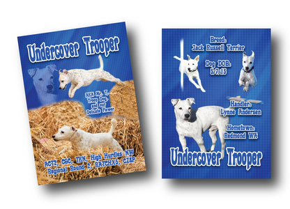 **CUSTOM TRADING CARDS**