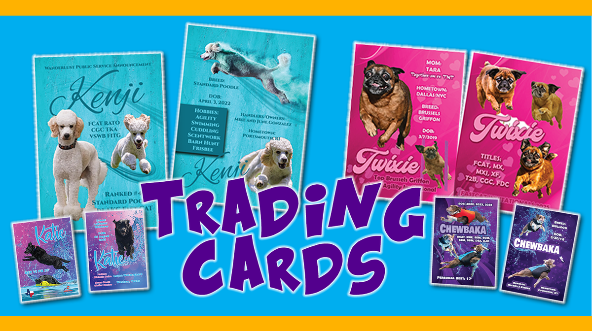 TRADING CARD - PRINTING SERVICE