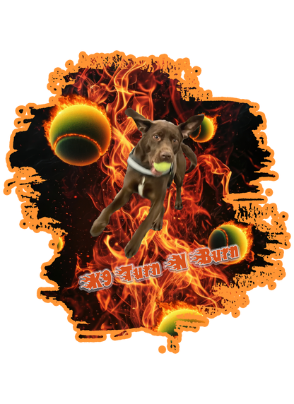 STICKERS: TURN-N-BURN -  6" SIZE