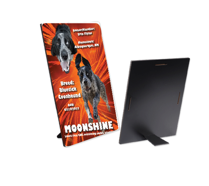 Award with Kickstand Easel