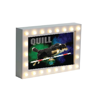 Light Up Photo Block
