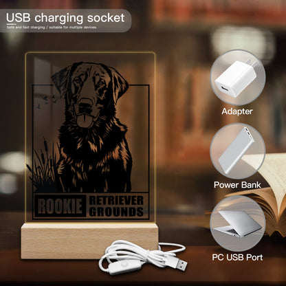 Solid Wood Acrylic Lamp｜Plastic Rookie-retriever