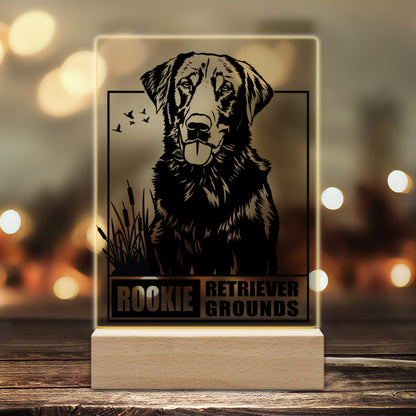 Solid Wood Acrylic Lamp｜Plastic Rookie-retriever