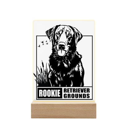 Solid Wood Acrylic Lamp｜Plastic Rookie-retriever