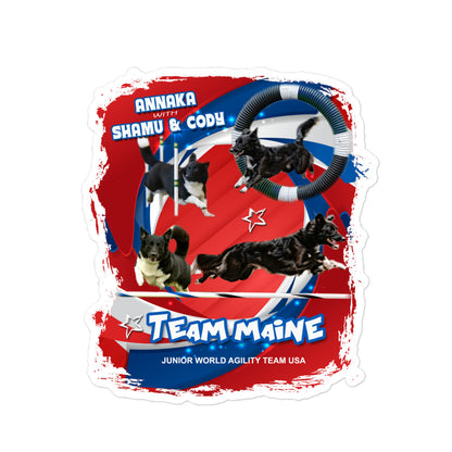 TEAM MAINE Stickers